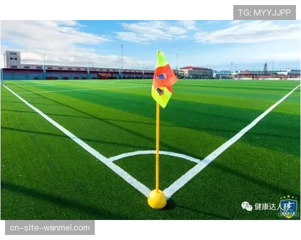 优化商业联赛健康风险管理 提升代谢综合征筛查与赛事运营效率