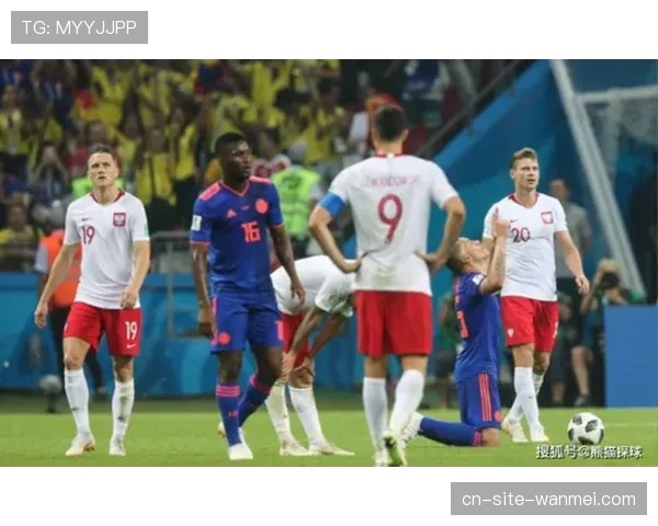 波兰队防守组织严密 限制荷兰队进攻效率